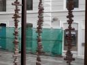 20160510_383.JPG