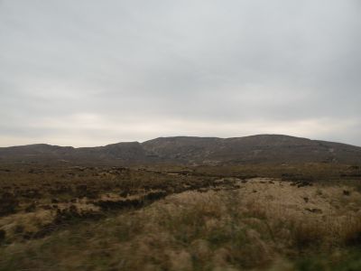 20160511_031.JPG