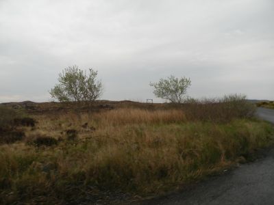 20160511_032.JPG