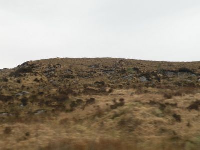 20160511_033.JPG