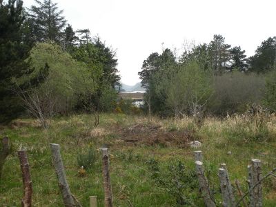 20160511_046.JPG