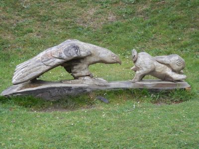 20160511_048.JPG