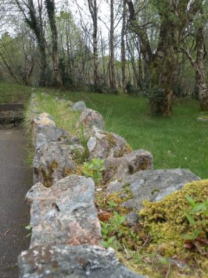 20160511_050.JPG