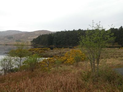 20160511_057.JPG