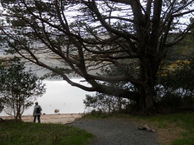 20160511_059.JPG