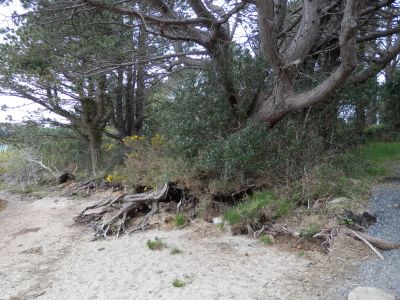20160511_060.JPG