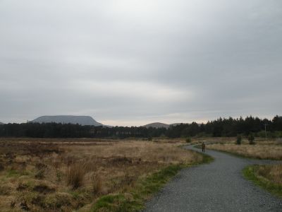 20160511_071.JPG