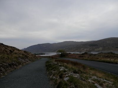20160511_077.JPG