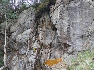 20160511_085.JPG