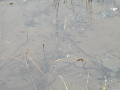 20160511_089.JPG