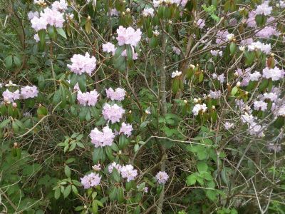 20160511_100.JPG