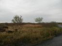 20160511_032.JPG