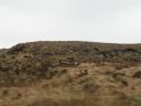 20160511_033.JPG