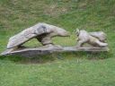 20160511_048.JPG