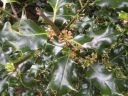 20160511_055.JPG