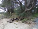 20160511_060.JPG
