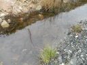 20160511_088.JPG
