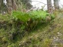 20160511_097.JPG