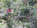 20160511_099.JPG