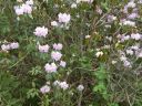 20160511_100.JPG