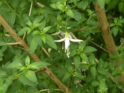 20160511_103.JPG