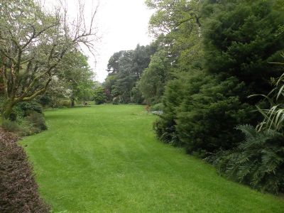20160511_109.JPG
