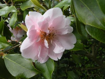 20160511_130.JPG