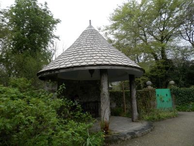 20160511_161.JPG