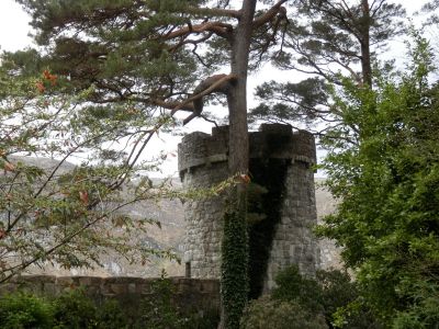 20160511_168.JPG