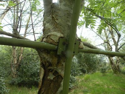 20160511_174.JPG
