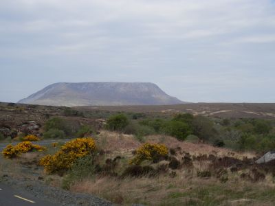 20160511_175.JPG