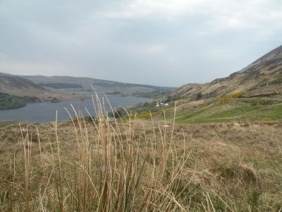 20160511_183.JPG