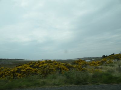 20160511_197.JPG