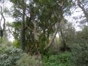 20160511_104.JPG