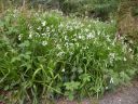 20160511_106.JPG