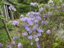 20160511_107.JPG