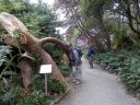 20160511_108.JPG