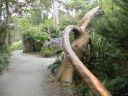 20160511_112.JPG