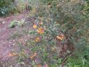 20160511_114.JPG