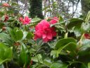 20160511_120.JPG