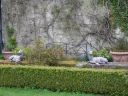 20160511_140.JPG