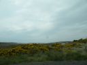 20160511_197.JPG