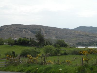 20160511_218.JPG