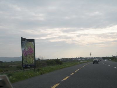 20160511_258.JPG