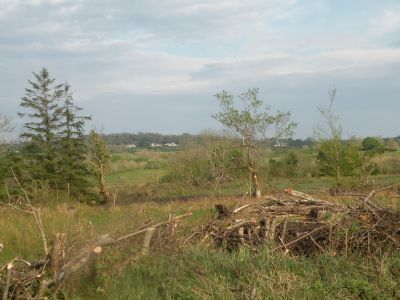 20160511_269.JPG