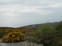 20160511_215.JPG