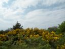 20160511_216.JPG