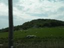 20160511_226.JPG