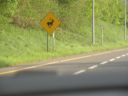 20160511_267.JPG