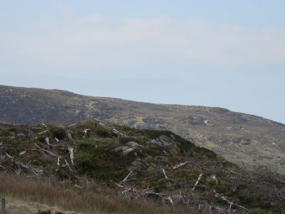 20160512_009.JPG